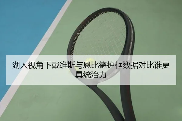 湖人视角下戴维斯与恩比德护框数据对比谁更具统治力